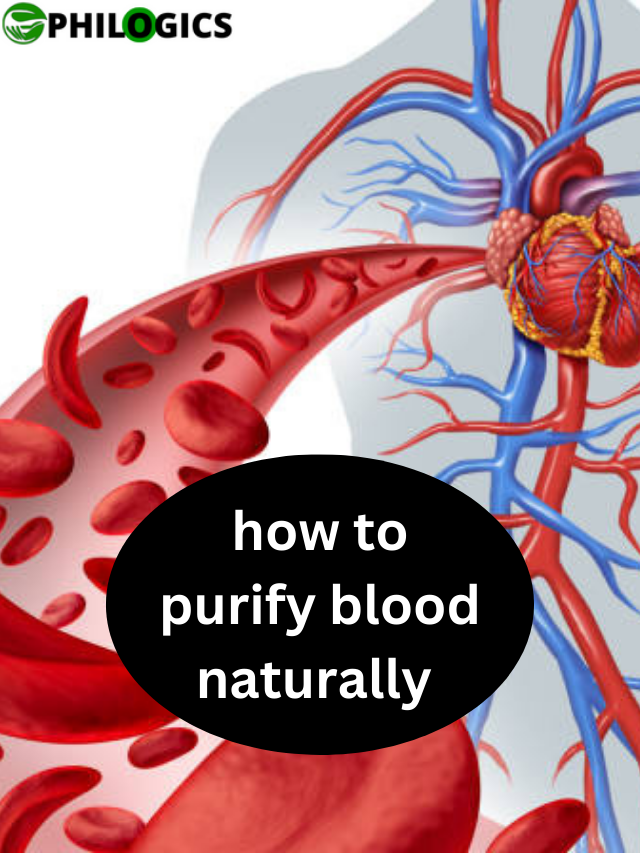 How to Purify Blood Naturally?