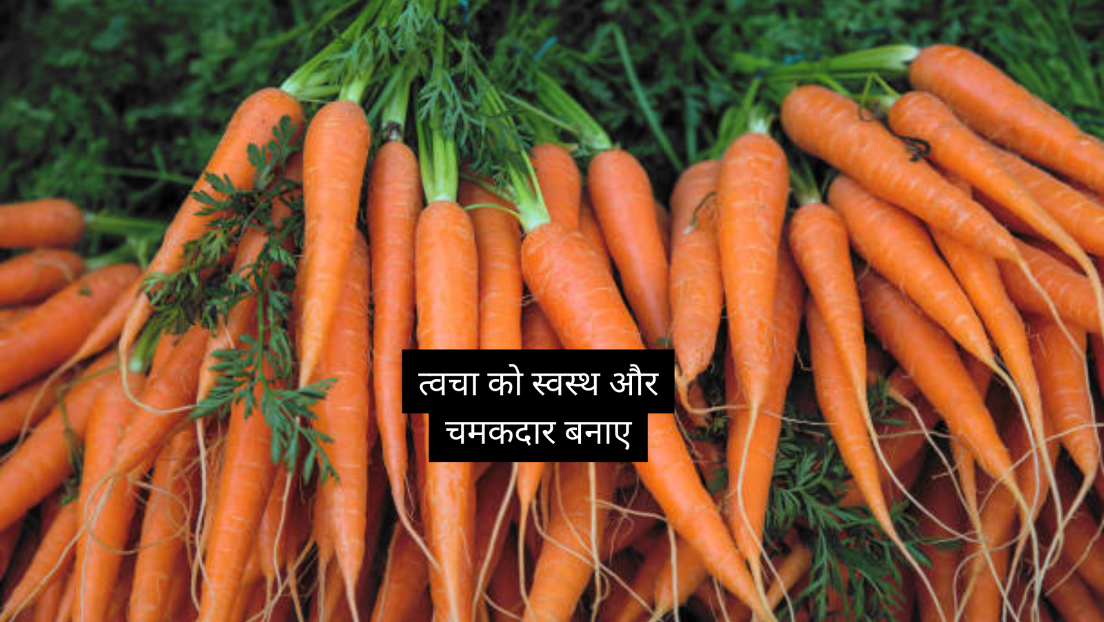 गाजर खाने के फायदे: पोषण से भरपूर - Ayurveda